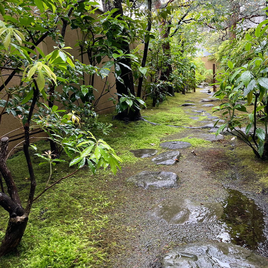 茶室 松雲庵 内露地