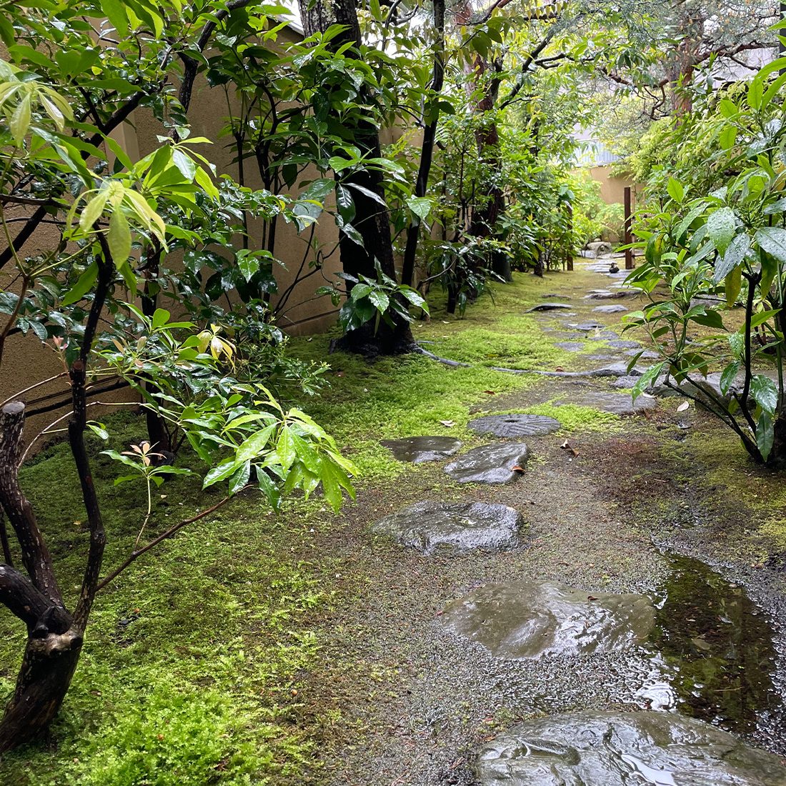 茶室 松雲庵 内露地