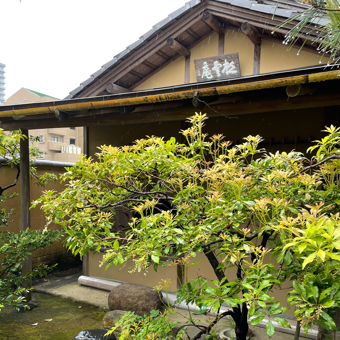 茶室 松雲庵 小間