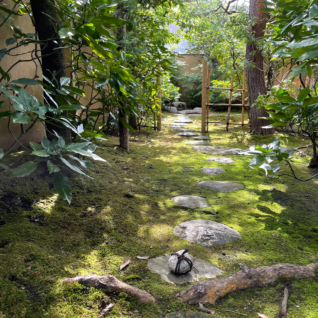 茶室 松雲庵 外露地